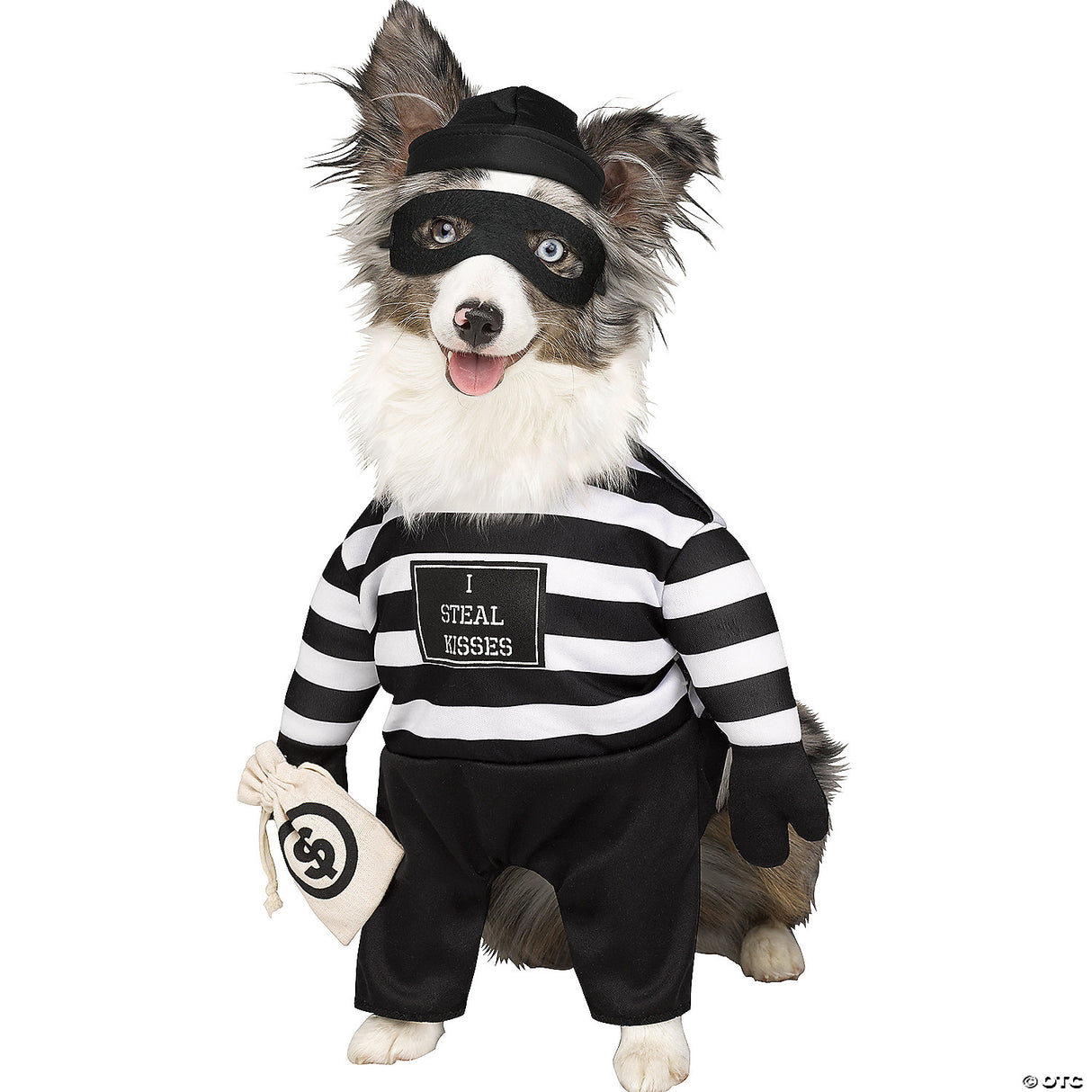 ROBBER PUP PET COSTUME