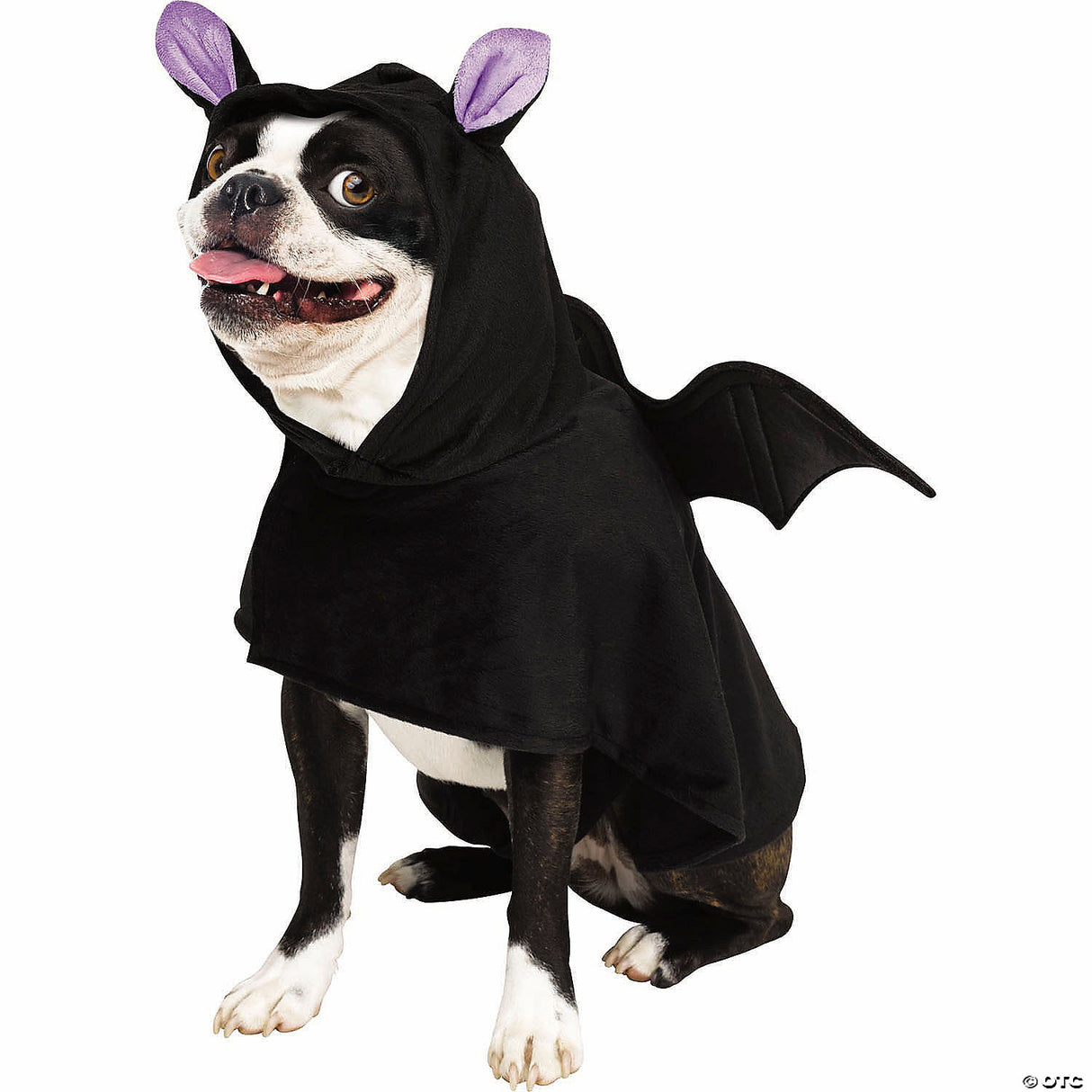 Bat Doggie Poncho Lg Xl