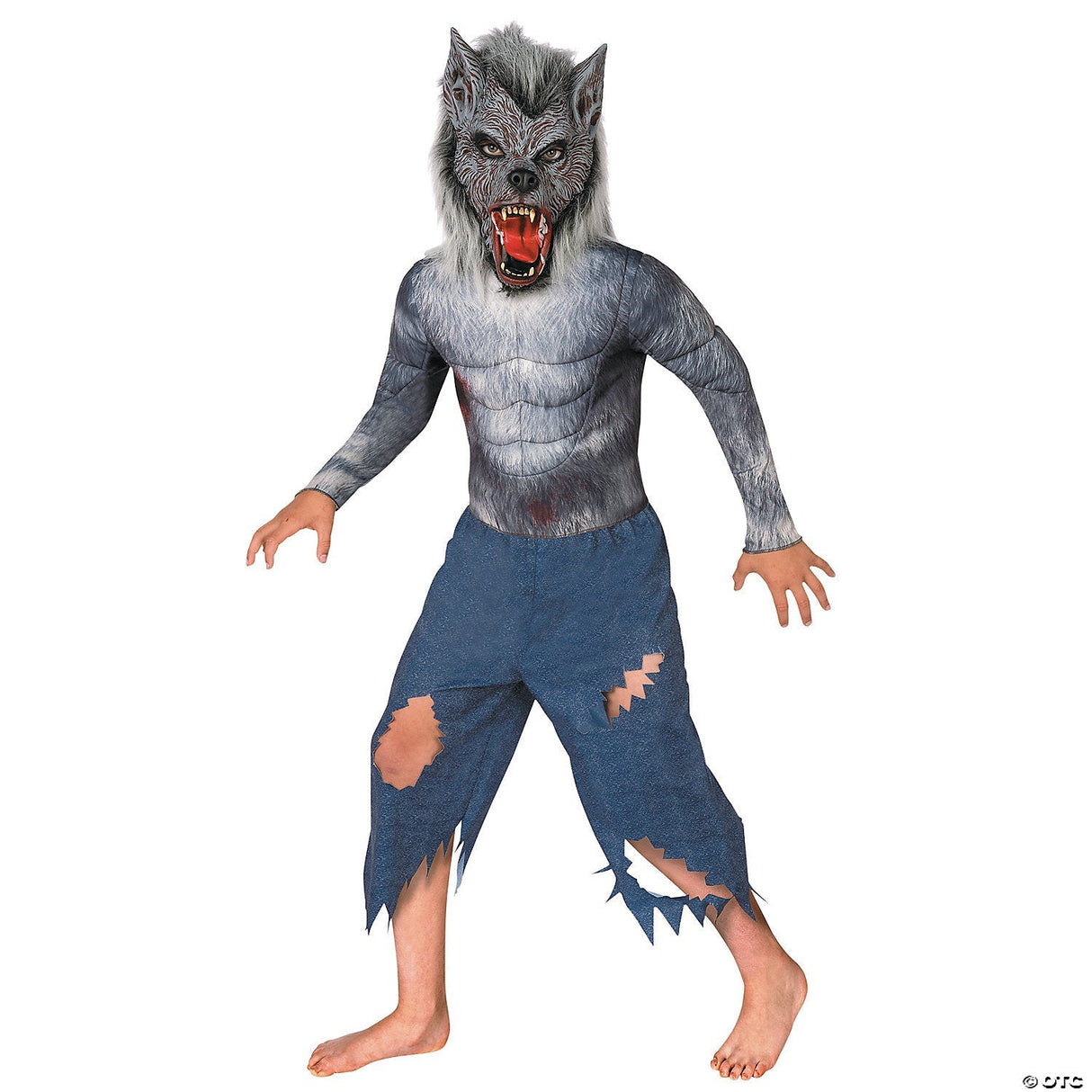 WEREWOLF CHILD MEDIUM 8-10 Halloween Costume Cosplay & Party Outfit For Kids