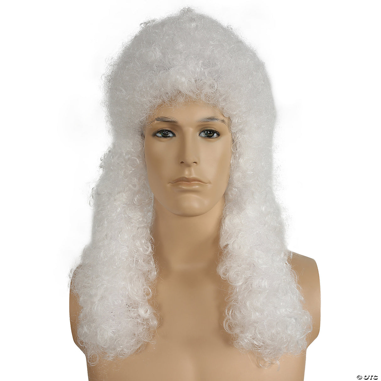 Adults White Special Bargain Judge Wig