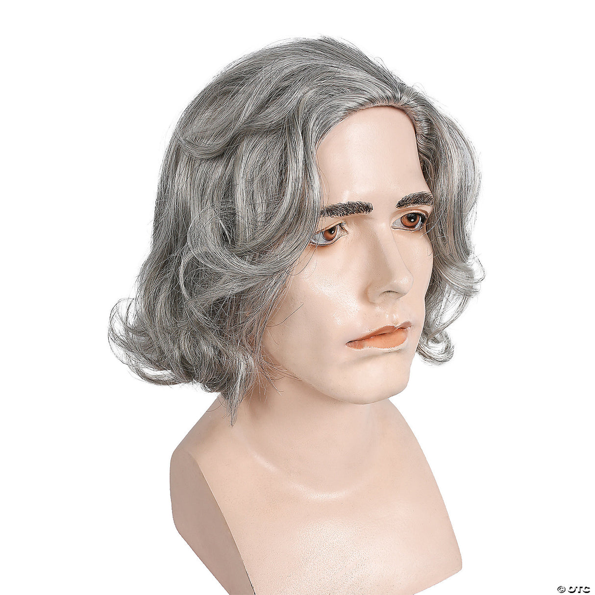 BEETHOVEN WIG