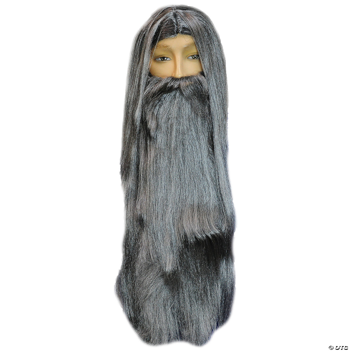 WIZARD BEARD AND WIG SET-WHITE