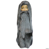 WIZARD BEARD AND WIG SET-WHITE