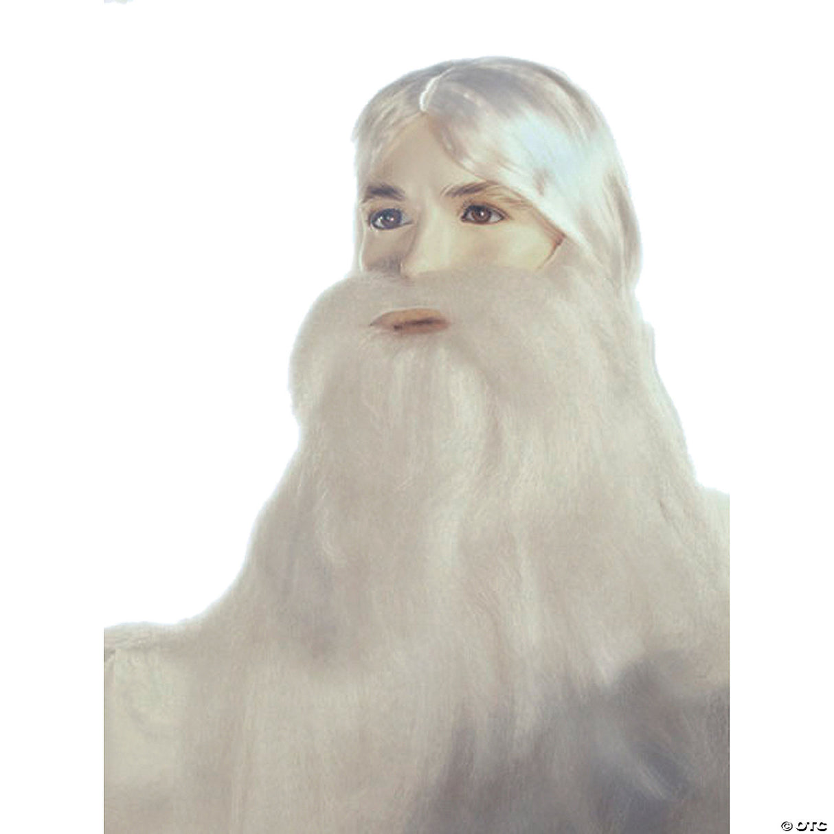 WIZARD BEARD AND WIG SET-WHITE