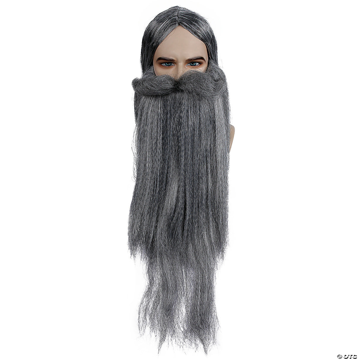 WIZARD WIG AND BEARD SET AU