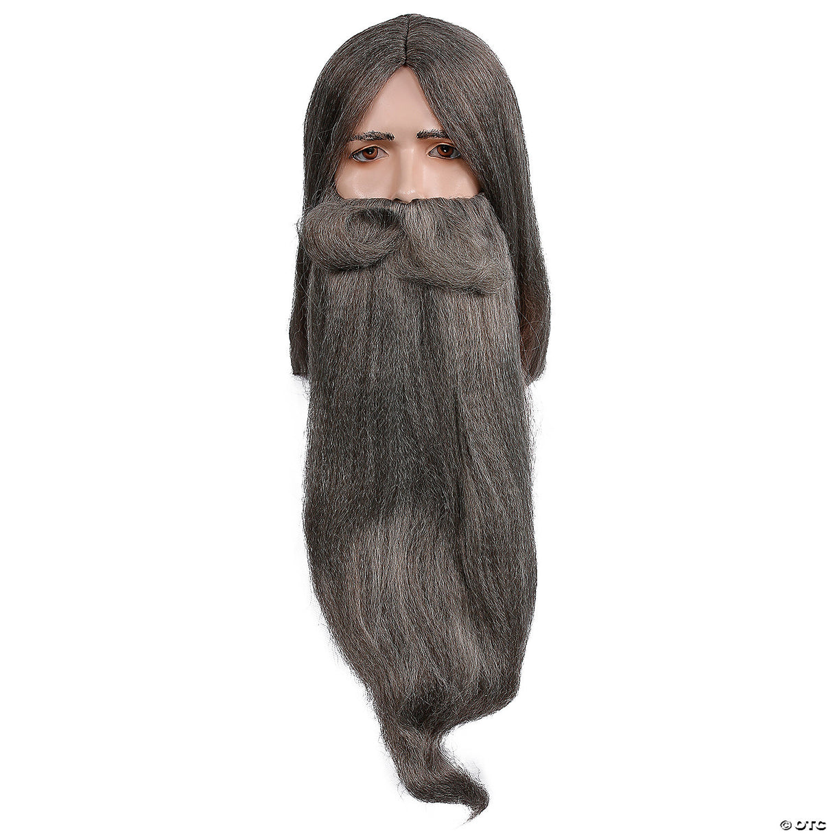 WIZARD WIG AND BEARD SET AU