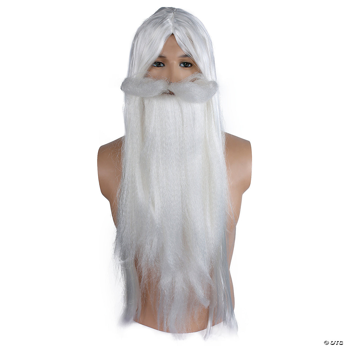 WIZARD WIG AND BEARD SET AU