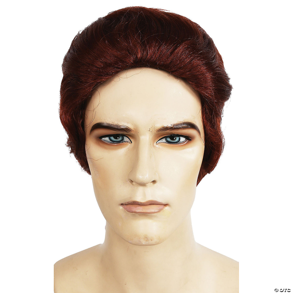 MENS PONYTAIL WIG