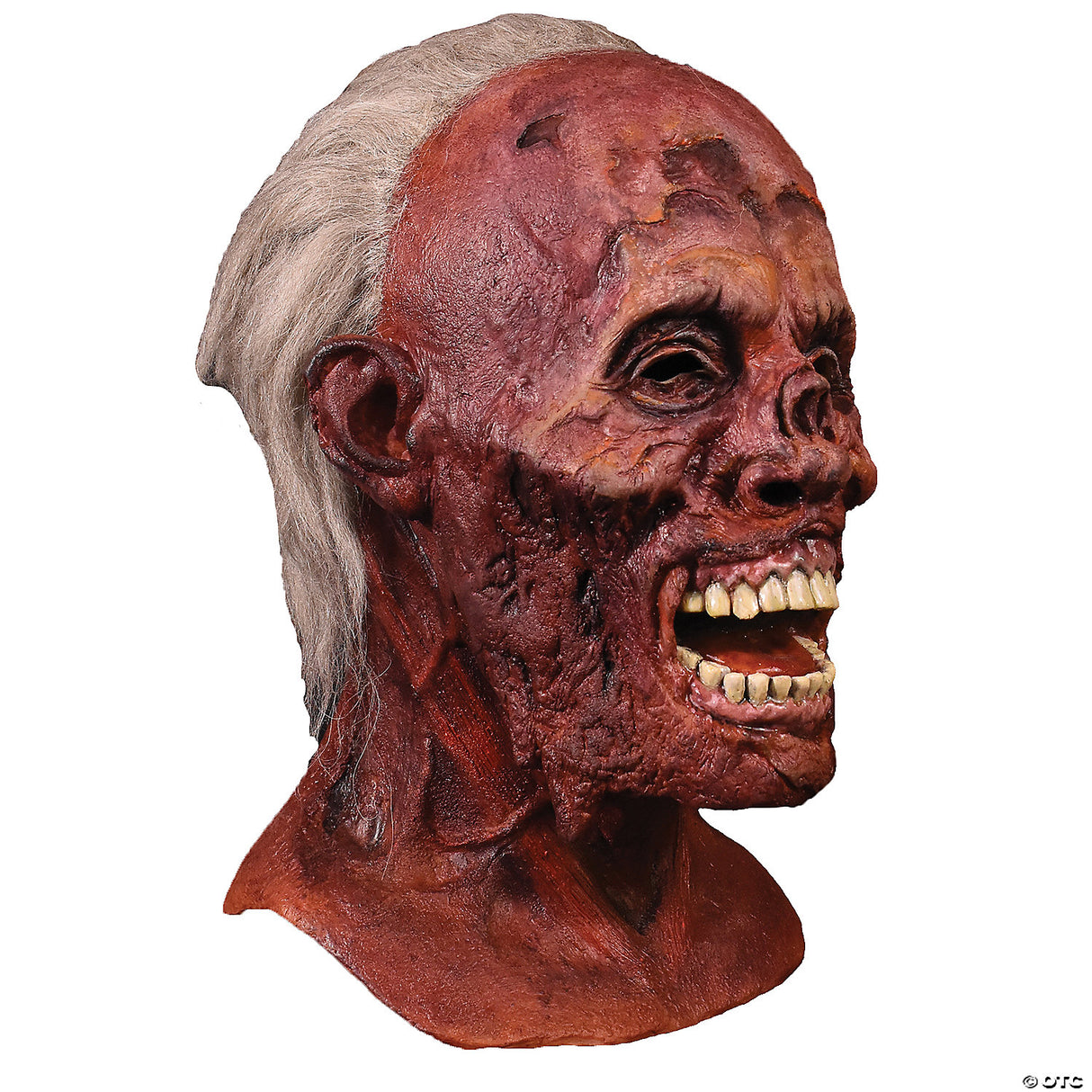 Adults The Walking Dead™ Eyeless Walker Overhead Latex Mask - One Size