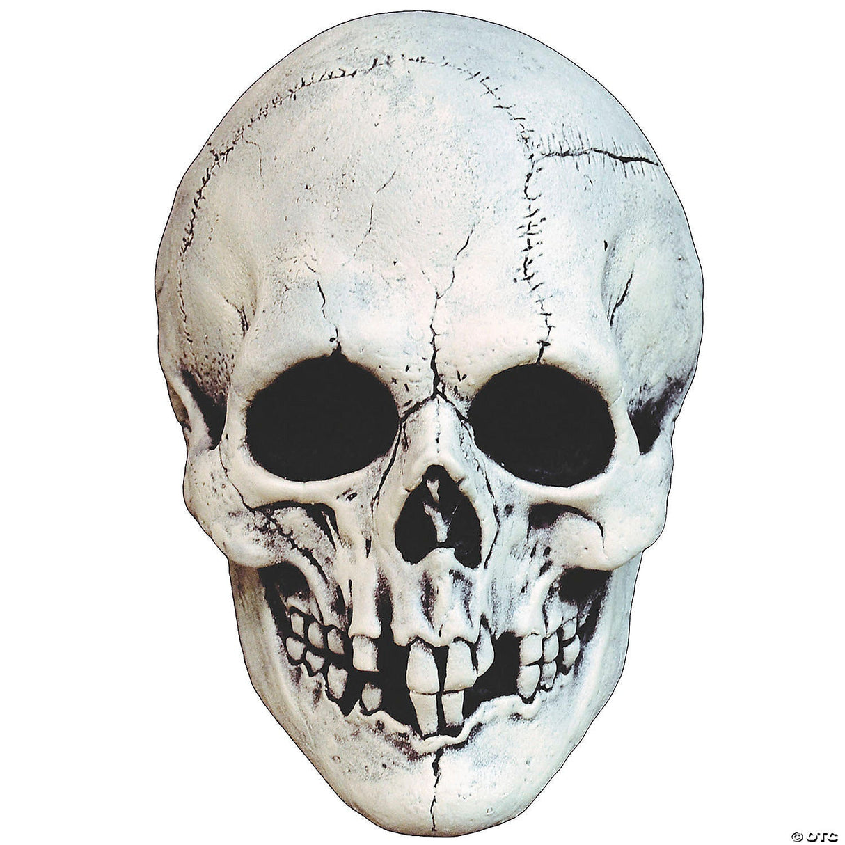 Adults White Night Owl Skull Plastic Overhead Mask – Scary Halloween Costume Pro