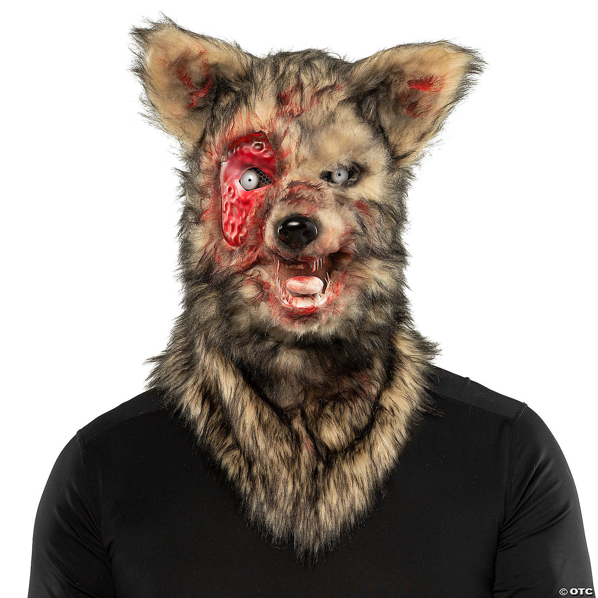 Blood Animal Wolf
