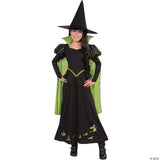 GIRL'S WIZARD OF OZ - WICKED WITCH  COST - Halloween Costume Dress Up Party Outf