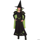 GIRL'S WIZARD OF OZ - WICKED WITCH  COST - Halloween Costume Dress Up Party Outf