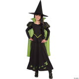 GIRL'S WIZARD OF OZ - WICKED WITCH  COST - Halloween Costume Dress Up Party Outf
