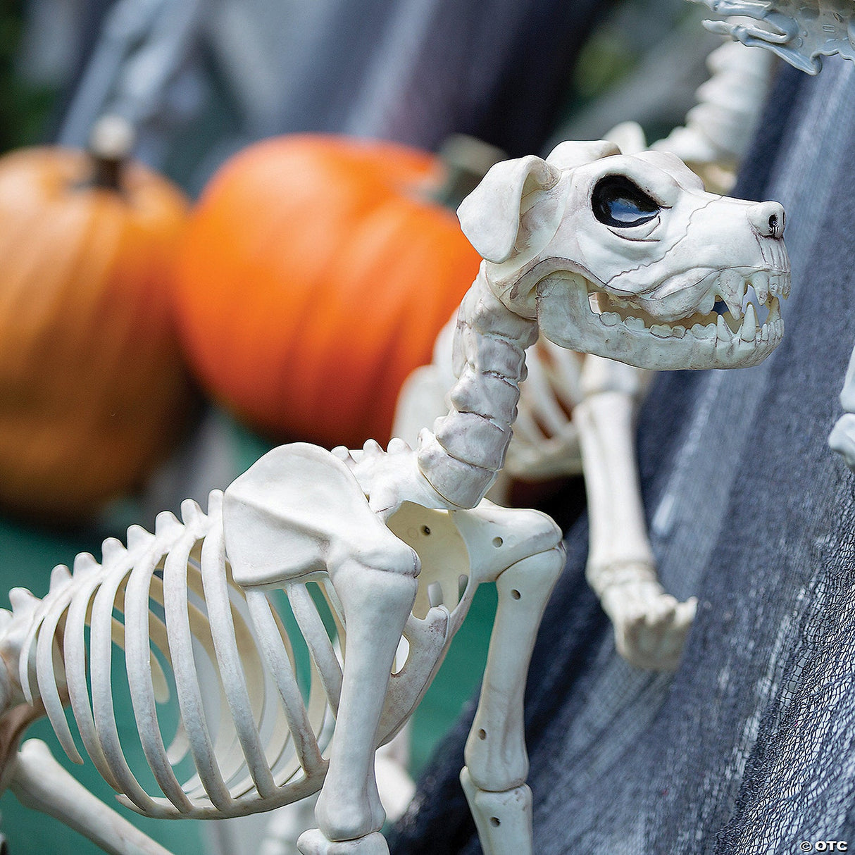 Skeleton Vulture Decoration