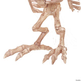 13.5" Owl Skeleton Decoration