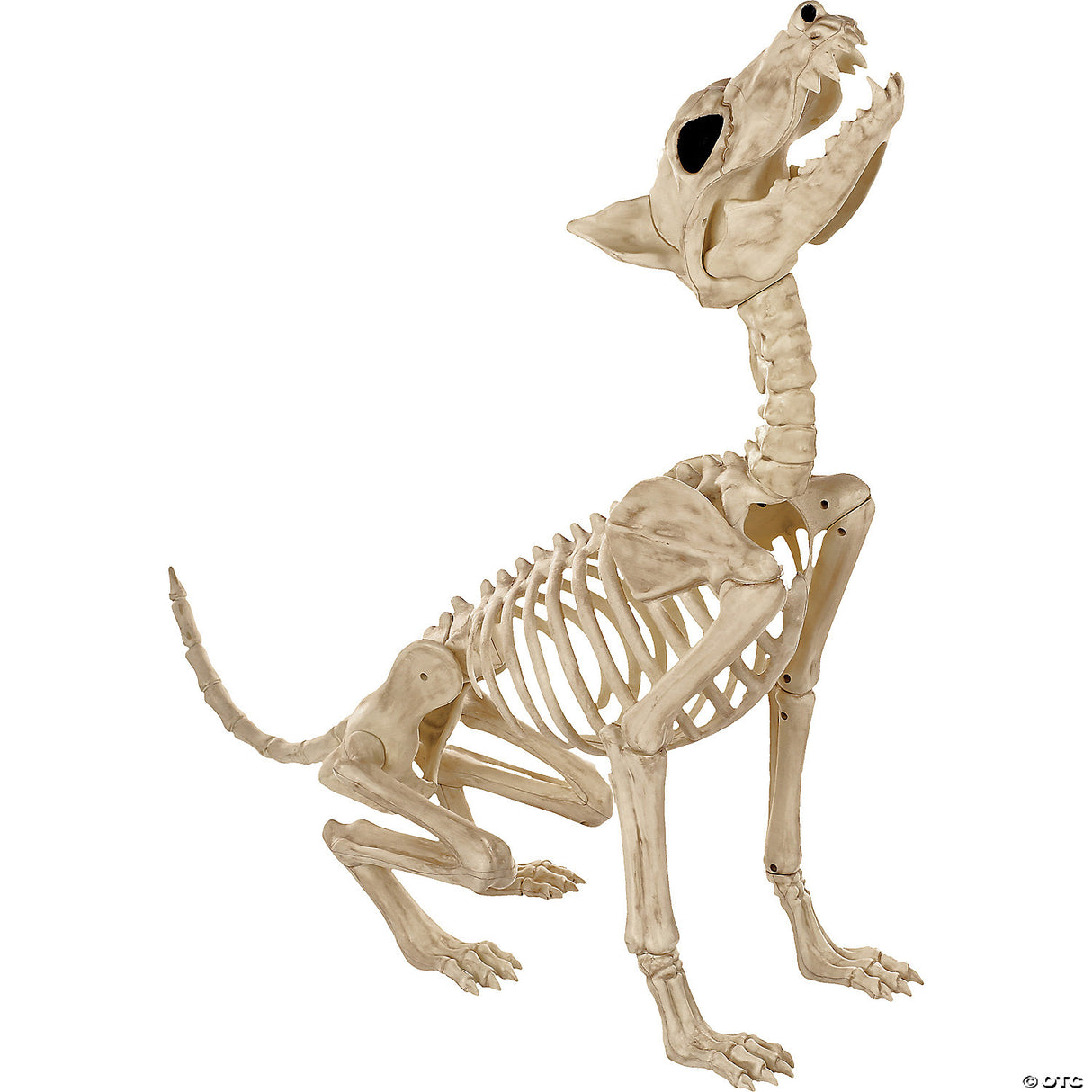 Howl At The Moon Wolf Skeleton Decoration