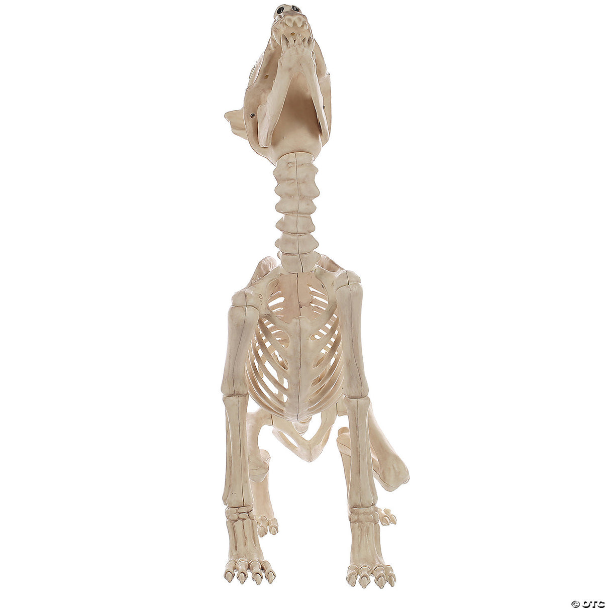 Howl At The Moon Wolf Skeleton Decoration