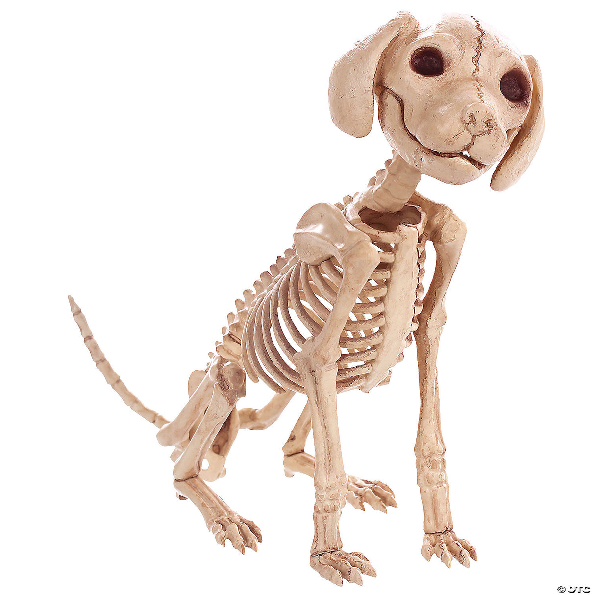 Skelebones Sitting Puppy