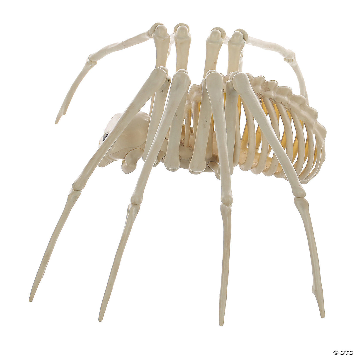 Spider Skeleton Halloween Decoration