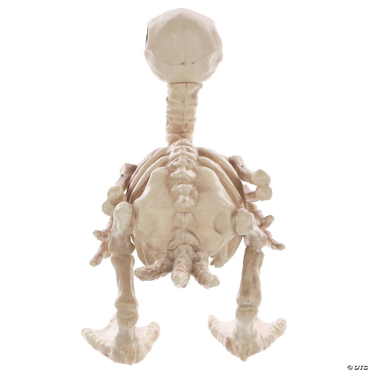Skeleton Duck Decoration – Creepy Halloween Haunted House Party Prop
