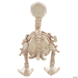 Skeleton Duck Decoration – Creepy Halloween Haunted House Party Prop