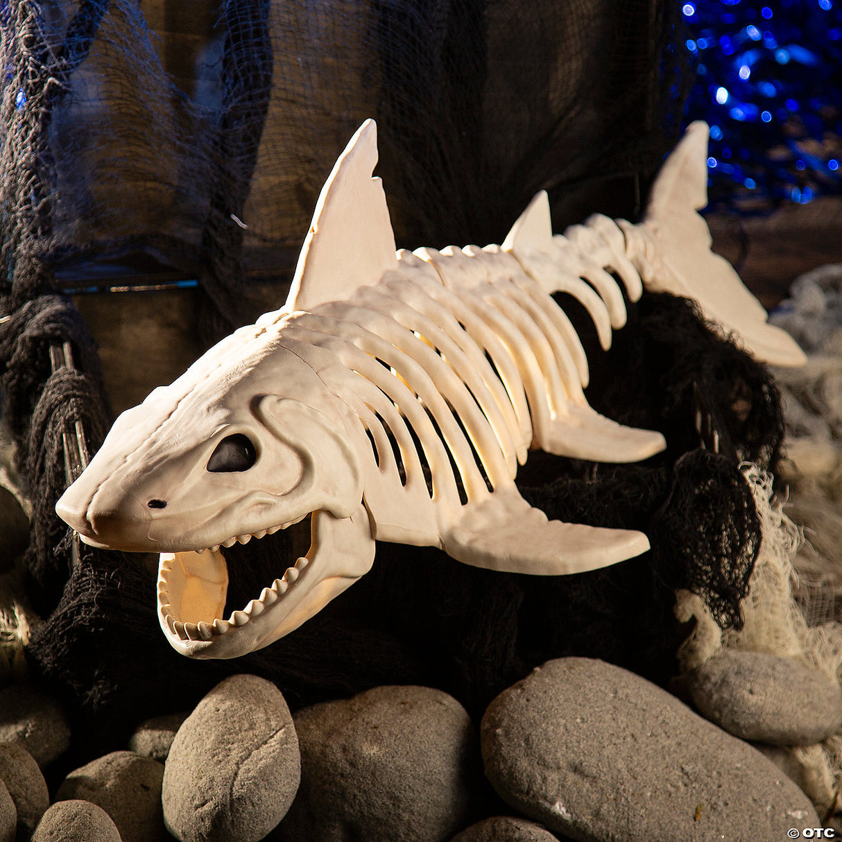 Shark Skeleton