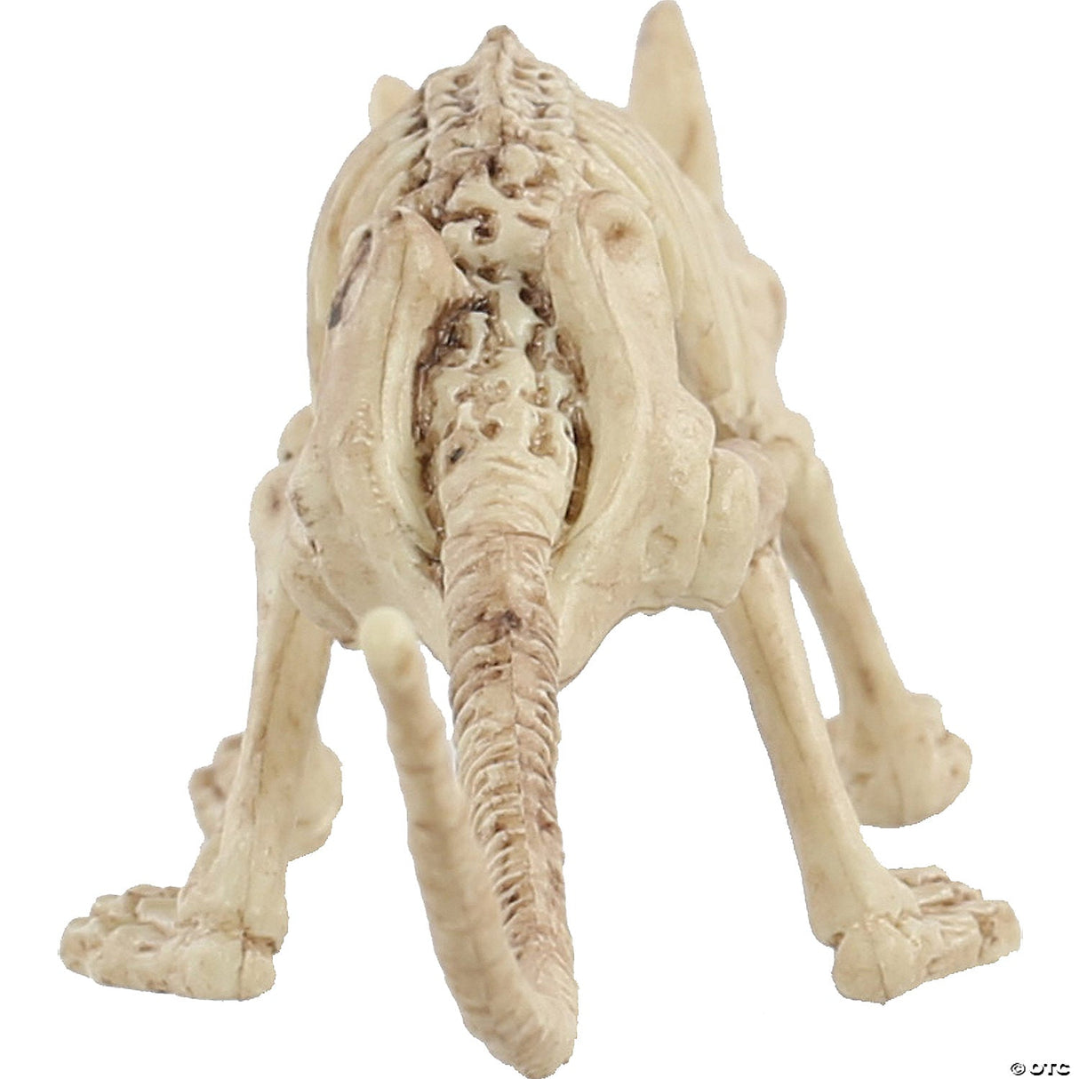 Gazelle Skeleton Skull Halloween Decoration