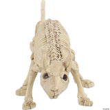 Mini Skeleton Rat Prop