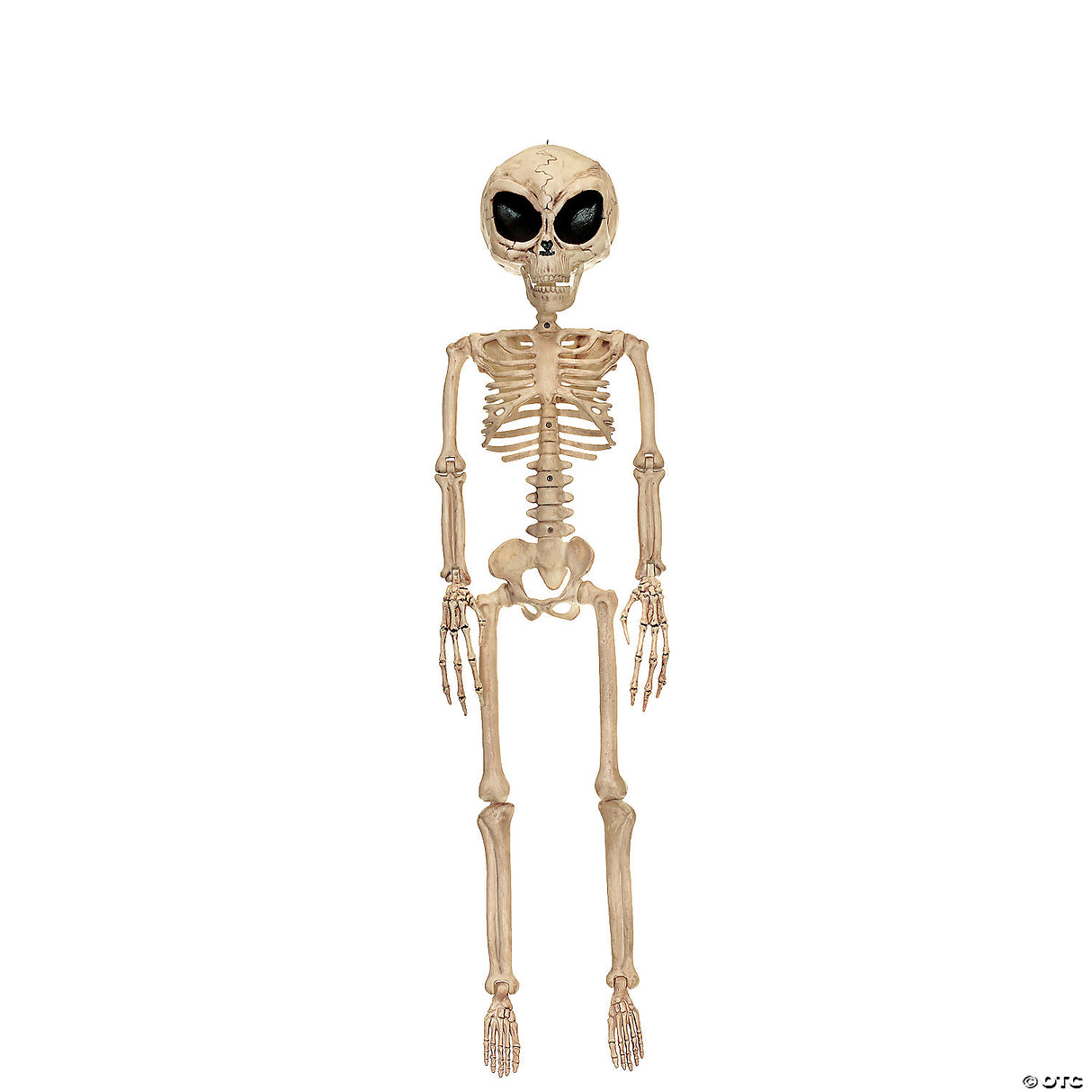 37" Alien Skeleton Decoration