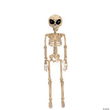 37" Alien Skeleton Decoration