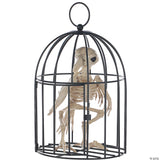 Skeleton Crow In A Cage