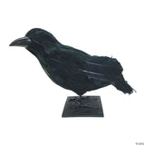 Black Raven Prop Halloween Decoration