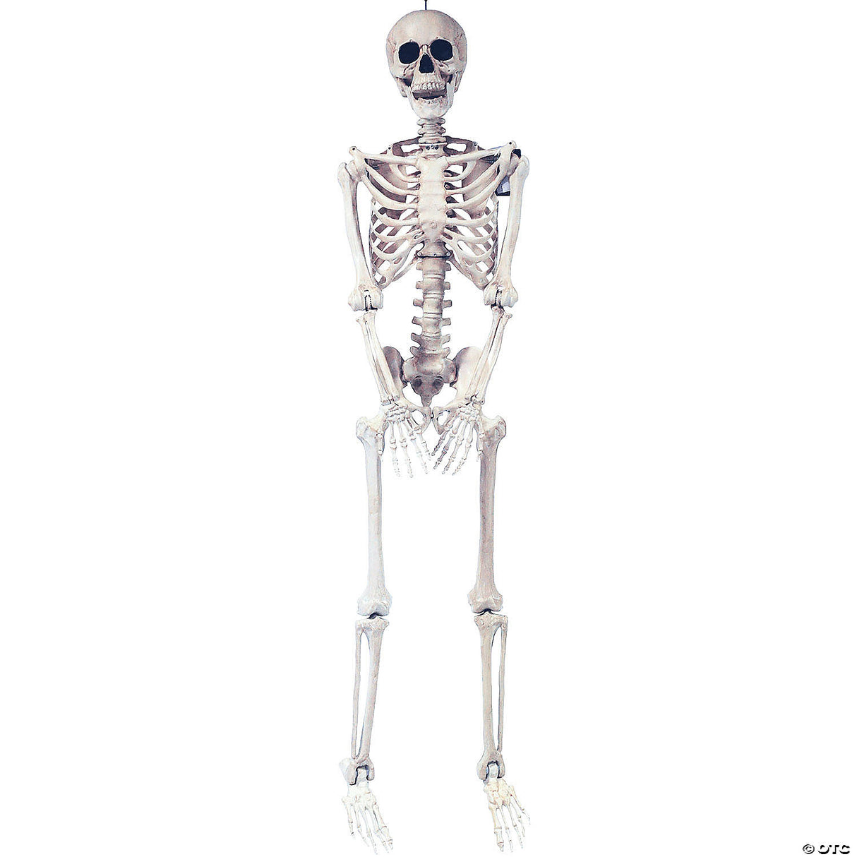 5 Ft. Skeleton Pose & Hold Halloween Decoration