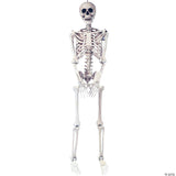 5 Ft. Skeleton Pose & Hold Halloween Decoration