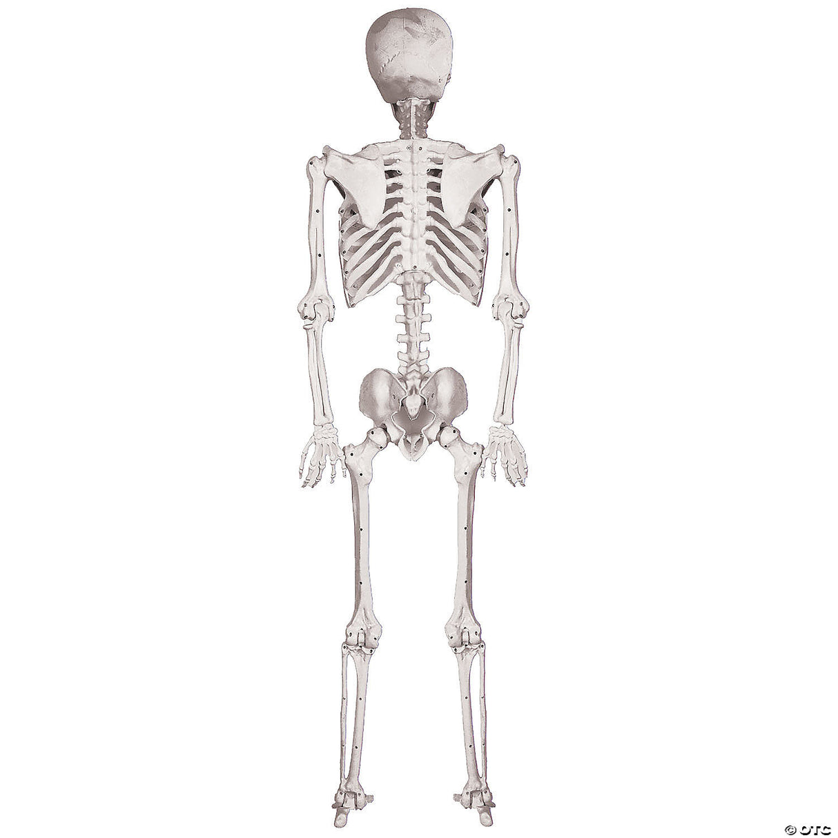 5 Ft. Skeleton Pose & Hold Halloween Decoration