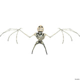 Bat Skeleton