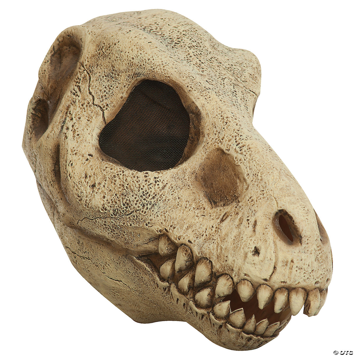 Adults Tyrannosaurus Rex Dinosaur Skull Mask