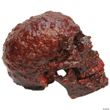 Bloody Scabs Skull Prop