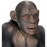 Adult Blake Ape Mask - Halloween Mask Costume Accessory Party Cosplay