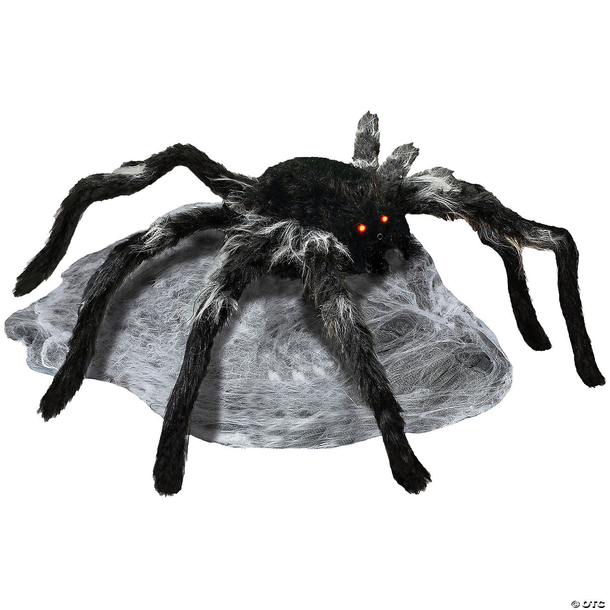 Jumping Spider