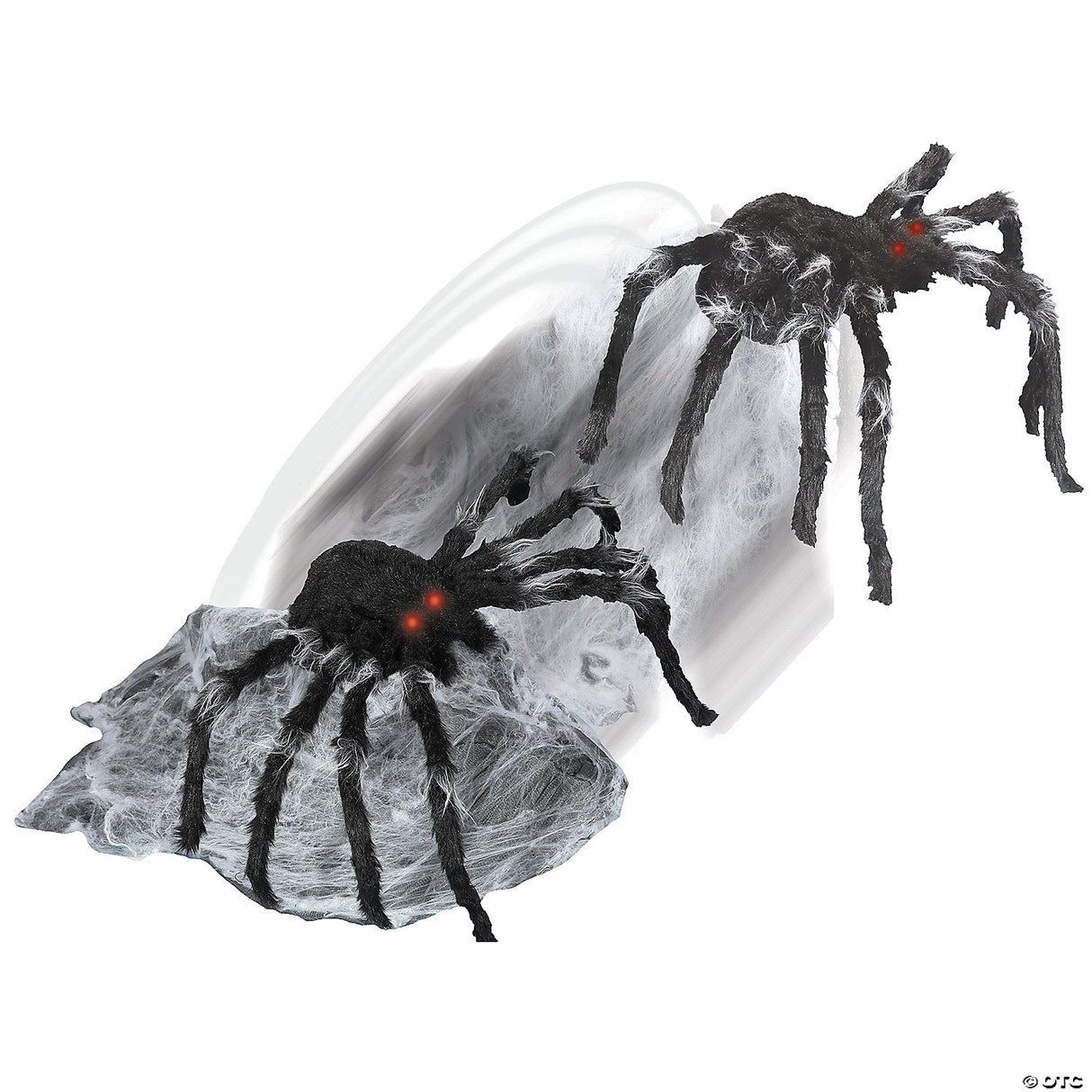 Jumping Spider
